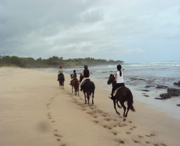 Blazing a Trail Encouraging You to Live a Great Story