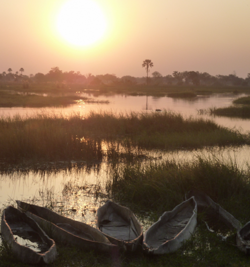 Okavango Delta at Dusk Okavango Delta at Dusk