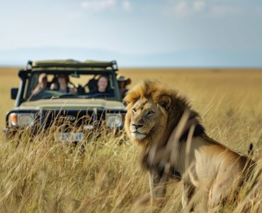 Blazing a Trail Partnering NGOs