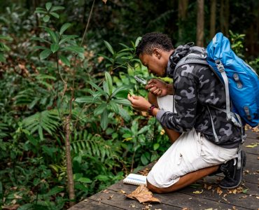 Biologist in a forest