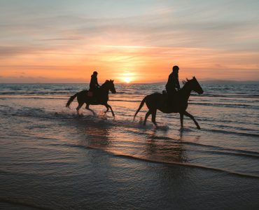 Photo - Horseriding Adventure