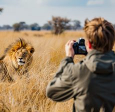 Man holding camera photography lion electronics. Man holding camera photography lion electronics.
