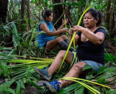 Women picking leaves in the Amazon rainforest. May 15, 2014. (USDA Forest Service photo by Diego Perez) Original public domain image from Flickr