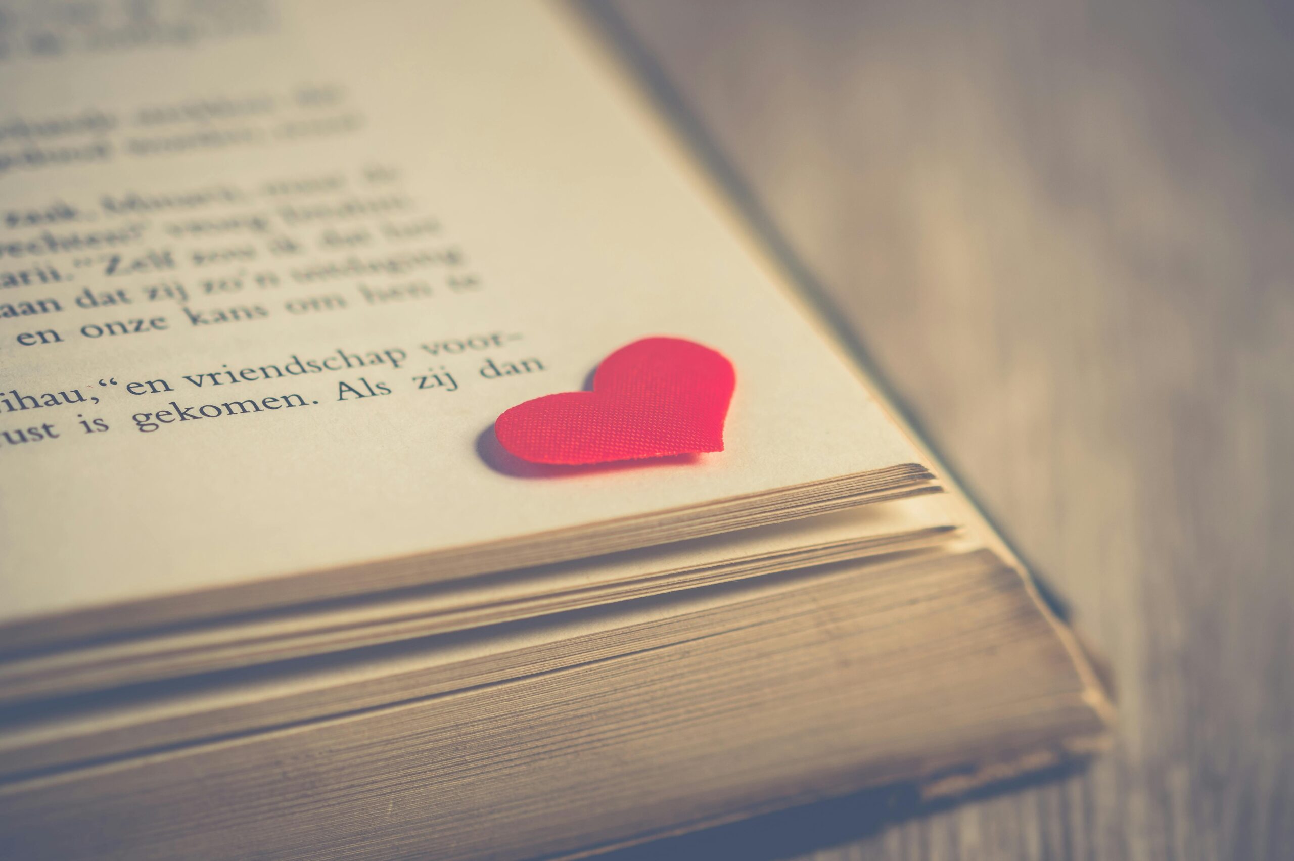 Photo - Book Love Heart