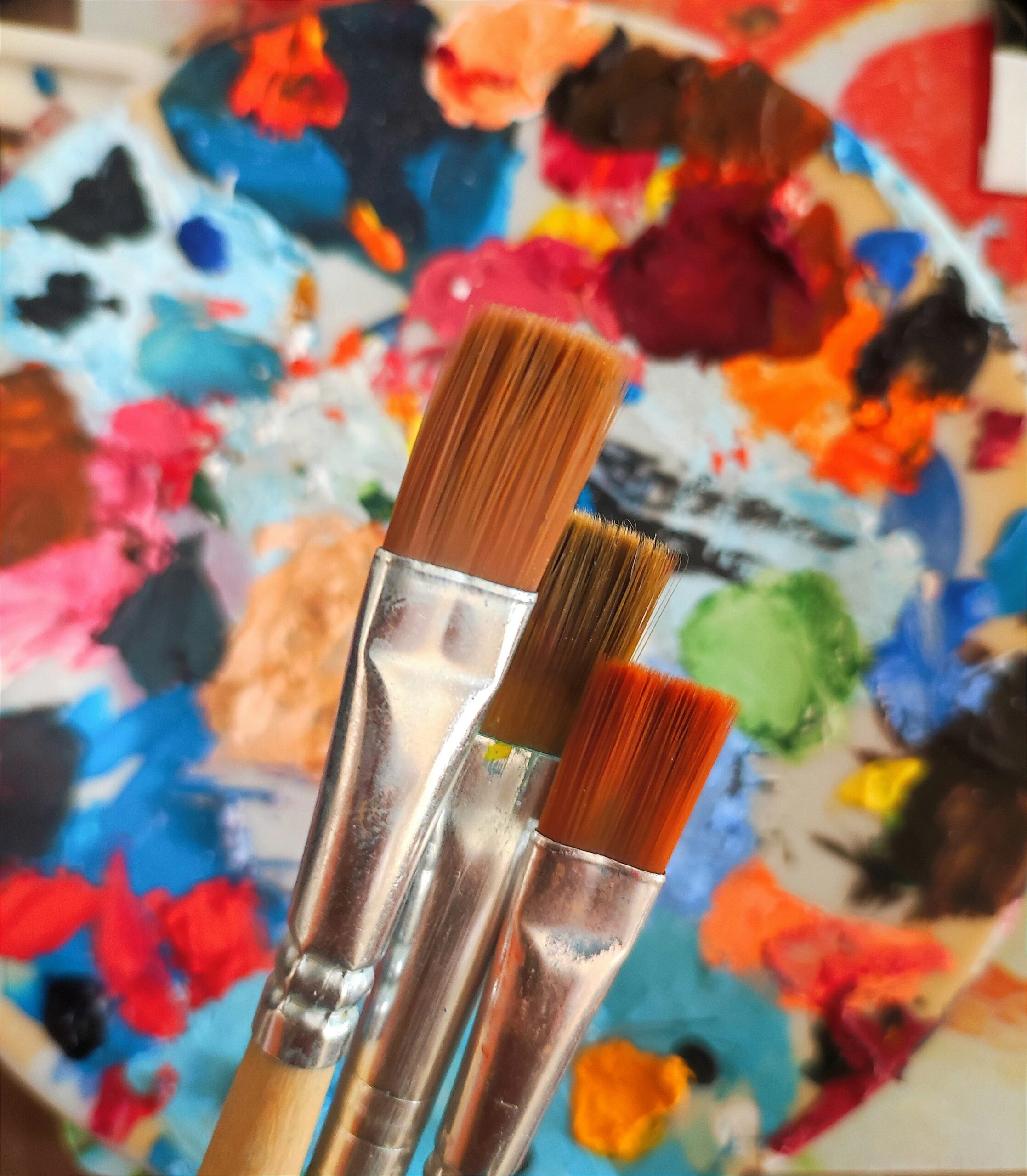 Photo - Paint Brushes