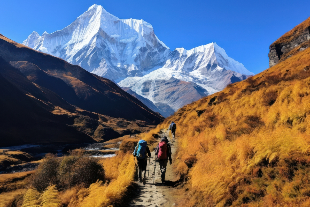 photo of *Annapurna Base Camp Trek* , natural light --ar 3:2